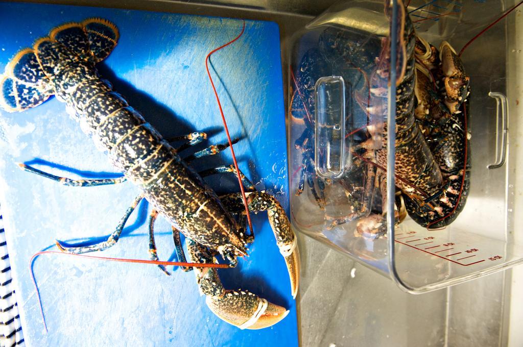 Quinlan & Cooke Boutique Townhouse And Qcs Seafood Restaurant Hotell Cahersiveen Eksteriør bilde
