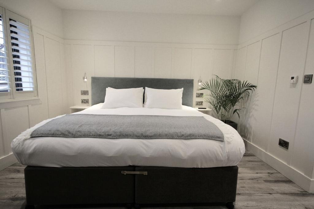 Quinlan & Cooke Boutique Townhouse And Qcs Seafood Restaurant Hotell Cahersiveen Eksteriør bilde